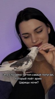 Правда, он прекрасно поёт?