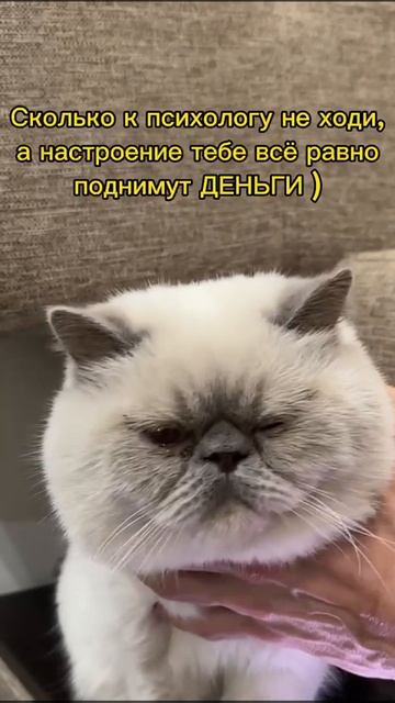 Мой диагноз: не хватает наличных