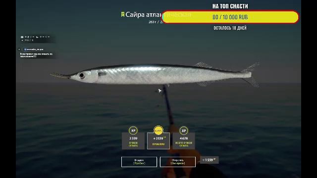Русская Рыбалка 4 !!! Море и не только !!!