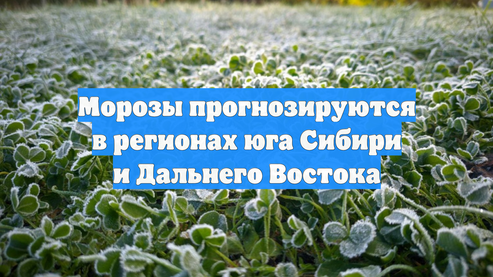Морозы прогнозируются в регионах юга Сибири и Дальнего Востока