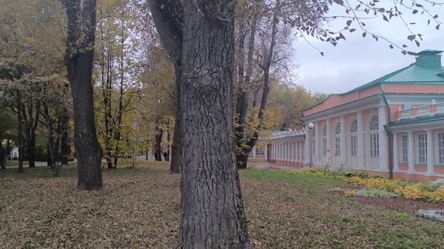 Воронцовский парк.mp4