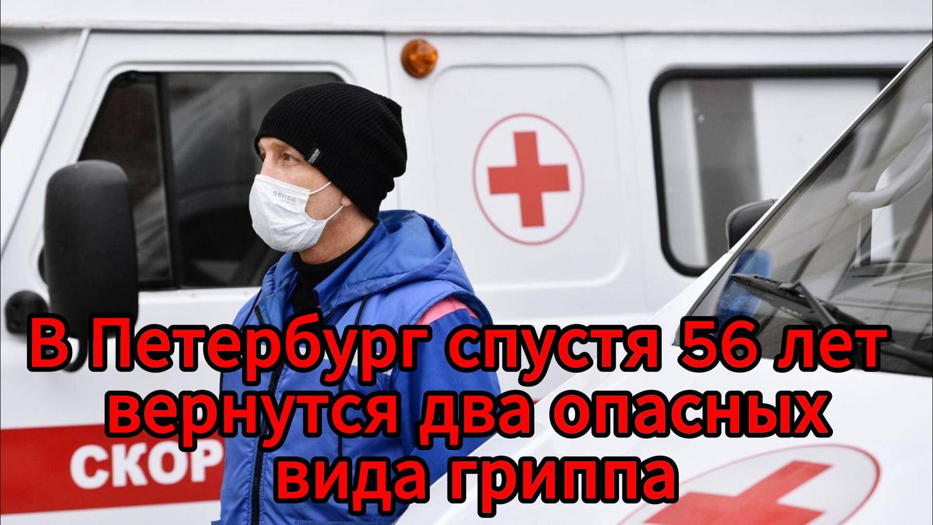 В Петербурге предупредили о двойной угрозе гриппа: «свиной» и «гонконгский» штаммы возвращаются