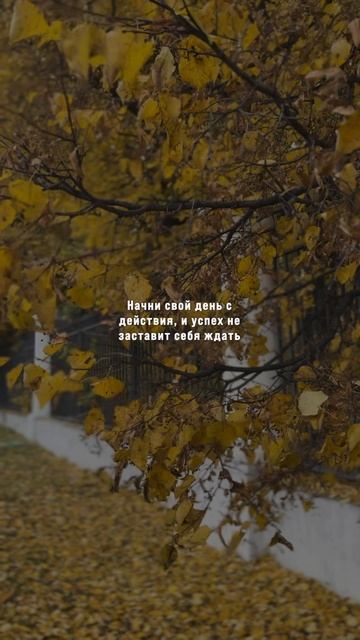 Ты не должен знать всё заранее. Главное — иметь чёткий план, который направит в нужную сторону