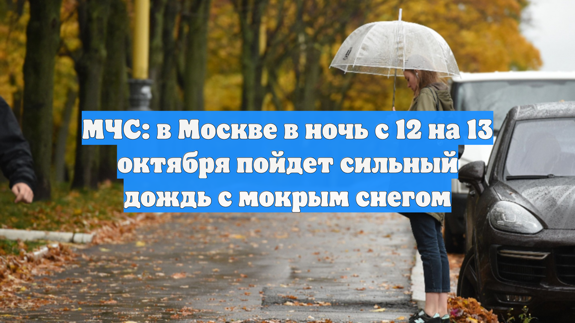 МЧС: в Москве в ночь с 12 на 13 октября пойдет сильный дождь с мокрым снегом