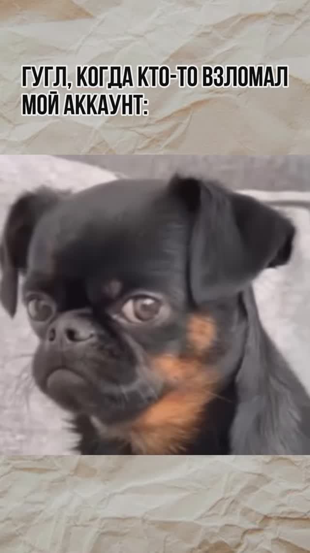 Мем про Гугл