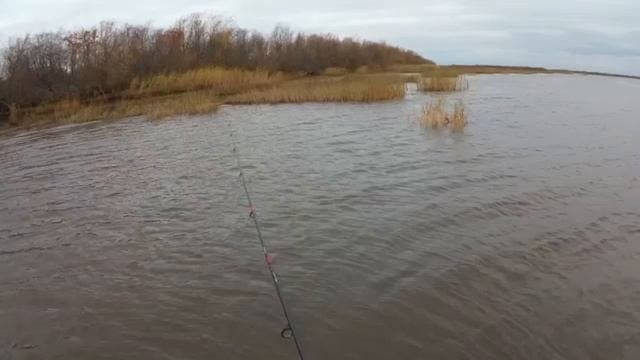 На отводной с Алексеем