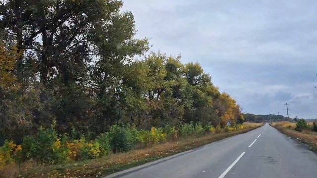В дорогу с осенью /Наша осень / Ростовская область / 11октября / 🍂🍁🍁