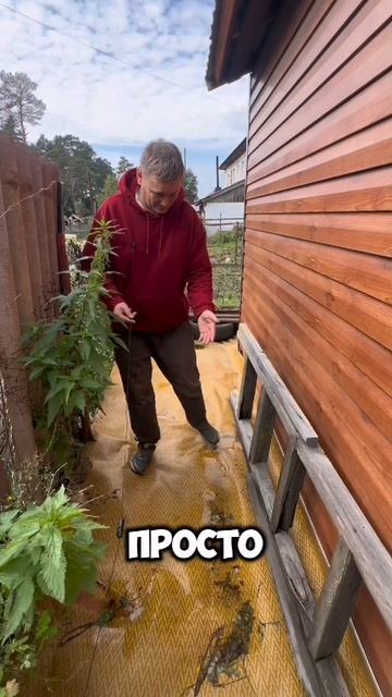 Что бы не было травы