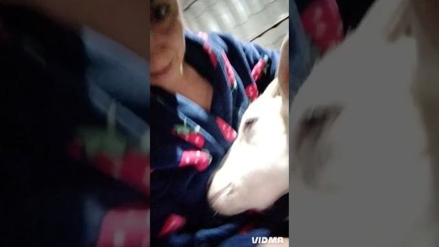 злая женщина хочет внимания 