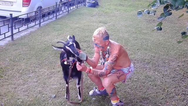 VID 20190726 190627
