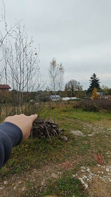 ИЖС Васюнино