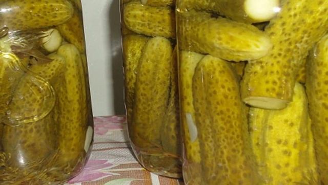 Огурцы под закатку