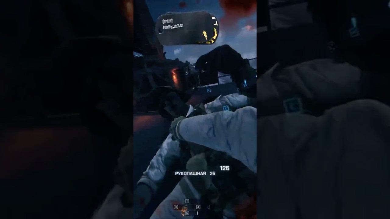 Battlefield 4  Rid 