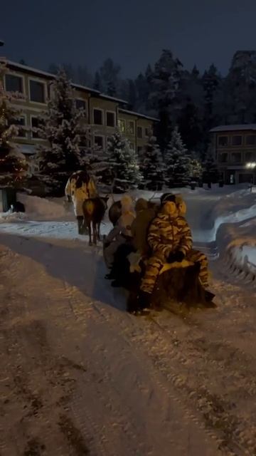 Катание на оленьей упряжке