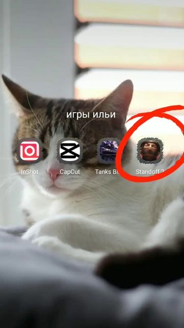 Я скачал стэндофф 2