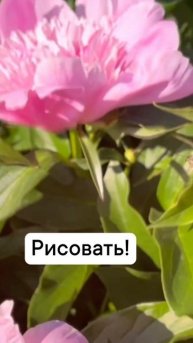 Марафон Октябрь 2025 г.