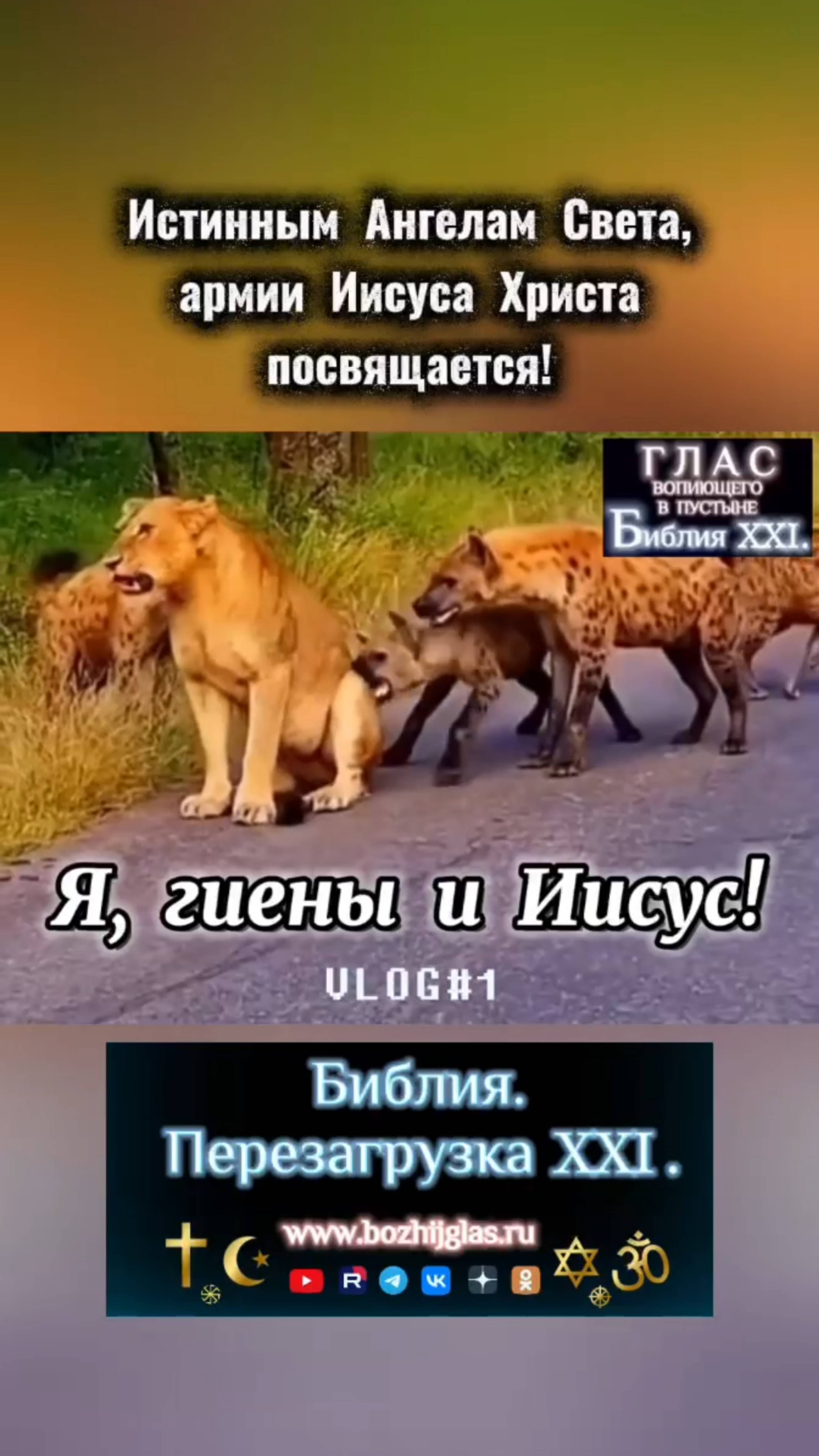 Я, гиены и Иисус Христос. Истинным Ангелам Света посвящается! 🙏🏻❤️😇 #Бог #Библия #Иисус #Христос