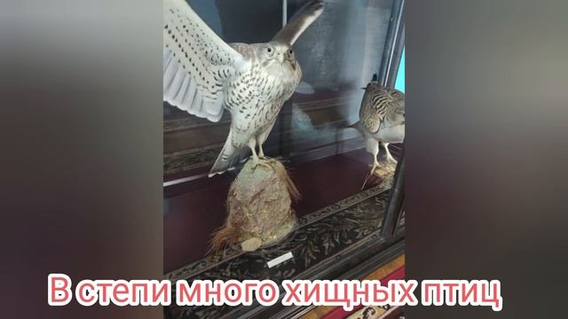 Саратов и юннаты. С любовью