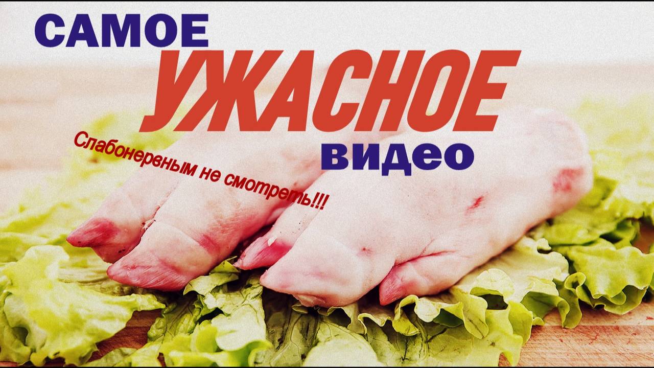 САМОЕ УЖАСНОЕ видео !!! СЛАБОНЕРВНЫМ НЕ СМОТРЕТЬ!!!!