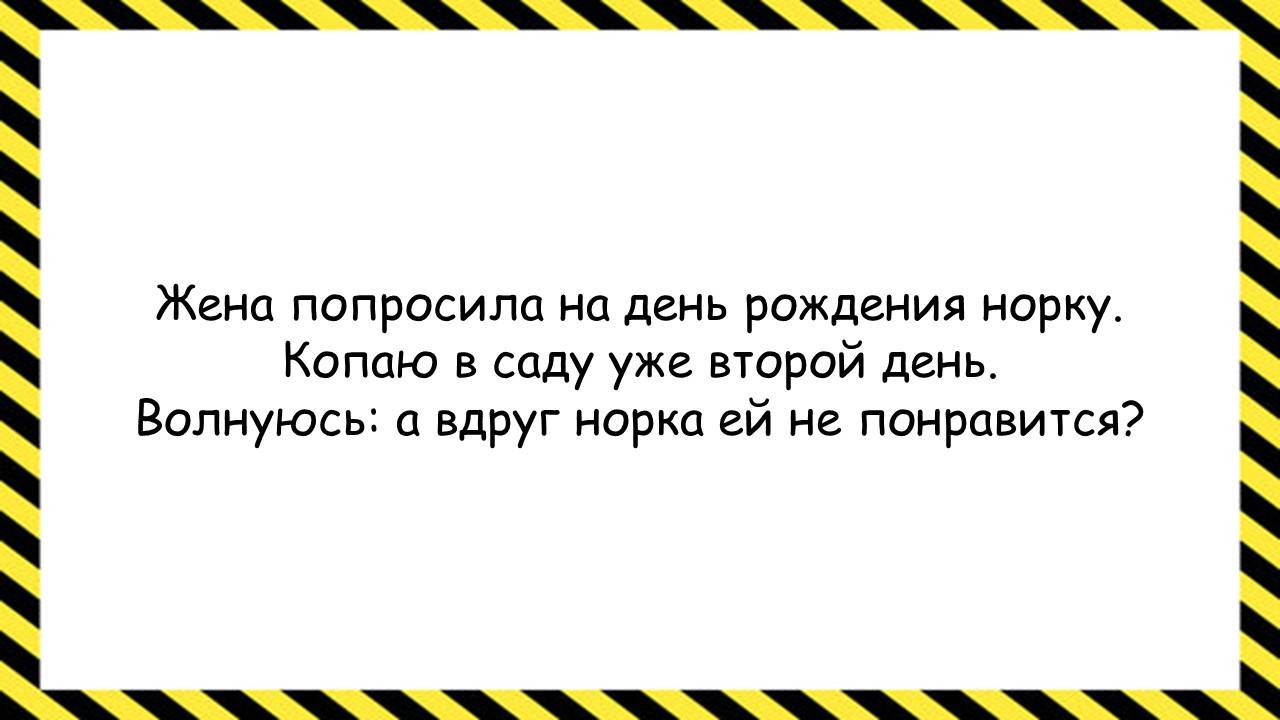 Жена попросила на день рождения норку... Анекдоты всех времён и народов