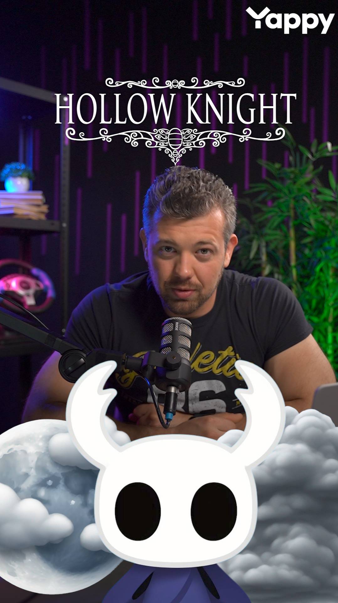 Hollow Knight 