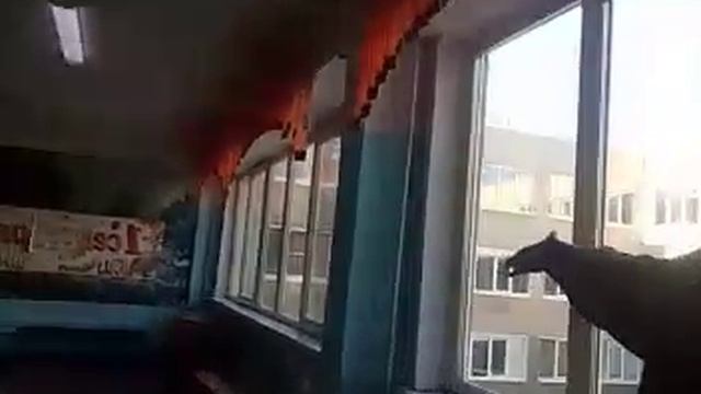 обнаружение в школе