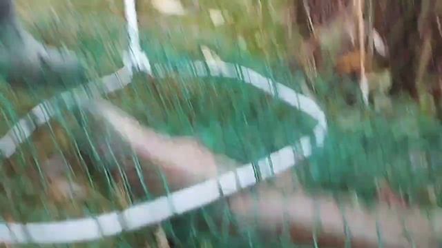 1000037501.mp4