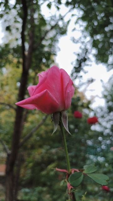 12.10.2025 #сегоднятак #природа #прырода #табиғ #自然 #natureza #natura #자연 #طبيعة #प्रकृति #nature