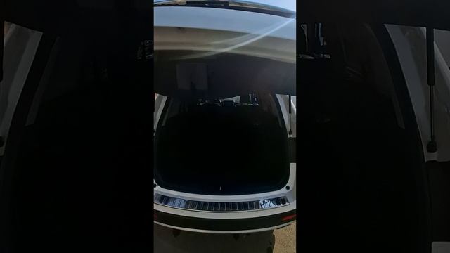 1000062867.mp4