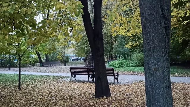 ОСЕНЬ В ПАРКЕ.mp4