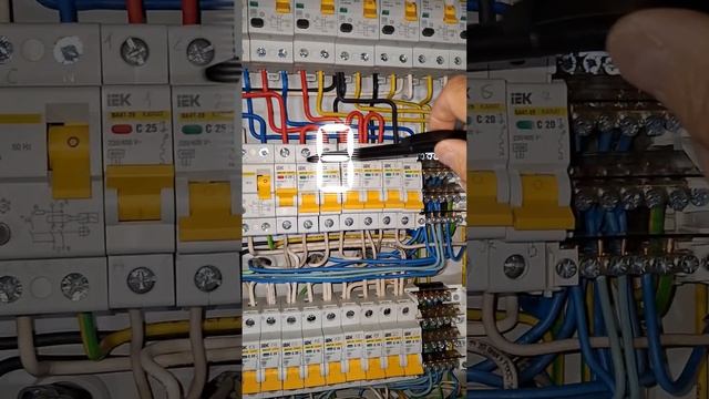 1000037038.mp4 Собака смотрит на монтаж электропроводки в эщите в доме А-фрейм - ЛАЙФХАКИ
