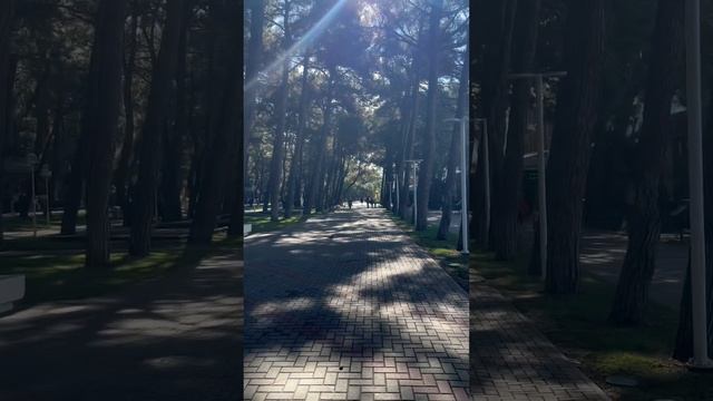 Геленджик  12-10-2025