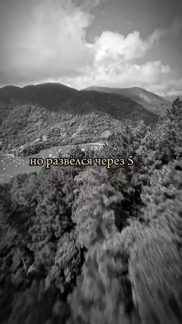 Мотивация