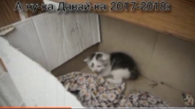 Яни...Куда же ты убежал...