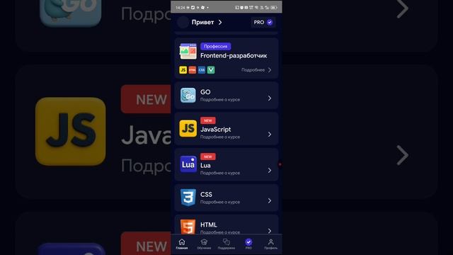 топ 5 вирусов пк и  обзор приложения кодик