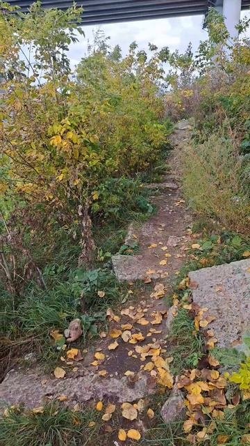 Страшная история, мост из могильных надгробий.