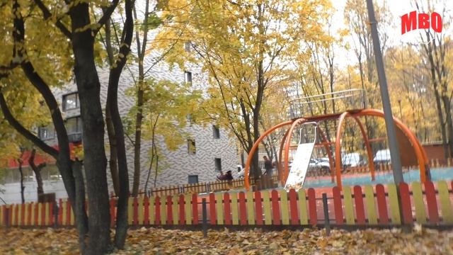 В Северном Чертанове выявлены нарушения при уборке листвы