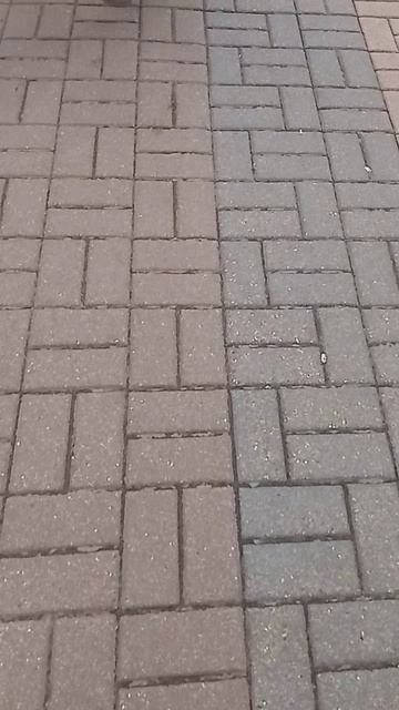 VID_20251012_115421.mp4