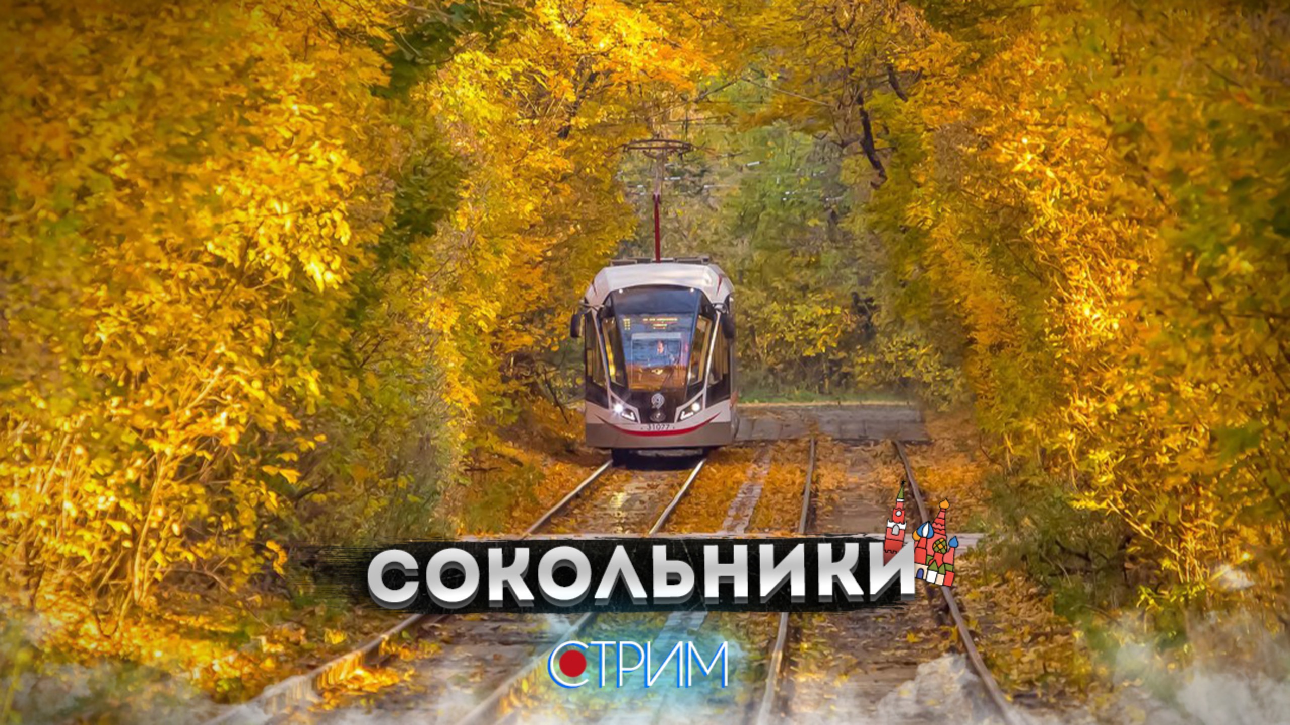 Сокольники – СТРИМ