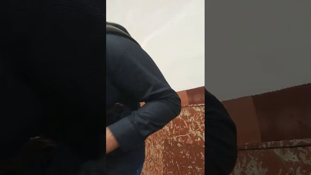 МУЗЫКА ДЛЯ ДУШИ +79262589113(СБЕР)
