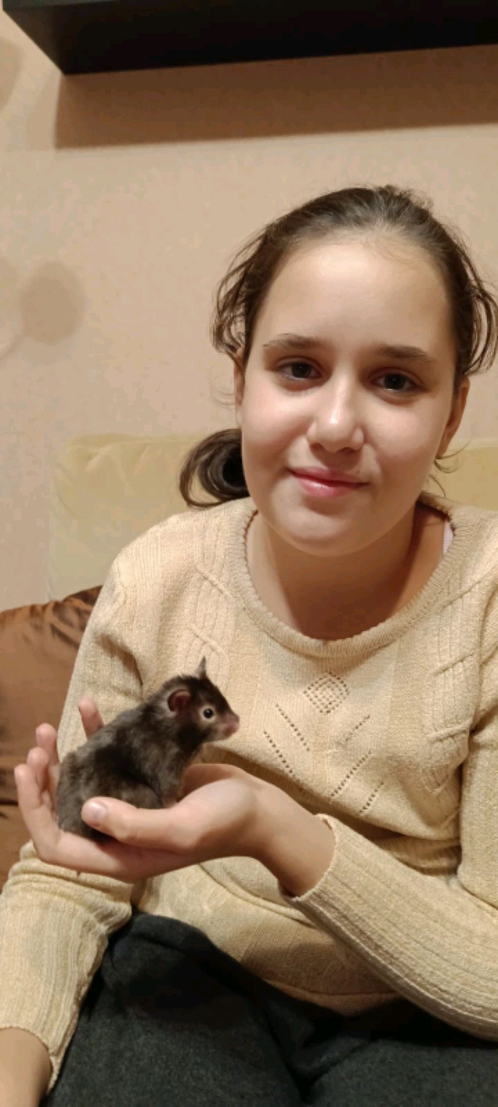 Барни в сапогах