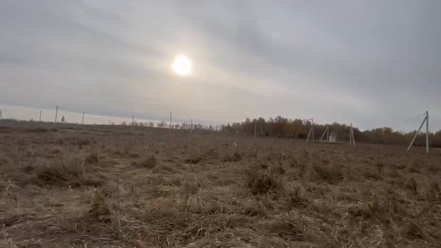 1000011807.mp4