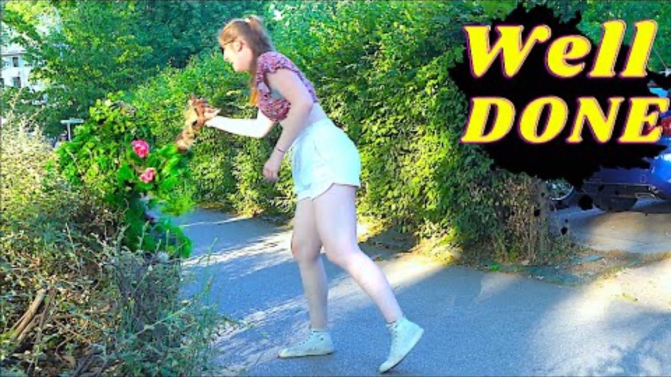 funny videos 2023 Top funniest reactions of bushman prank