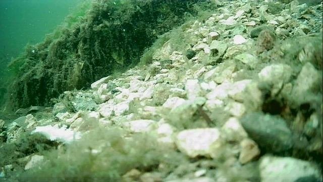 1000003152.mp4Волга гл.1м.12.10.2025г.