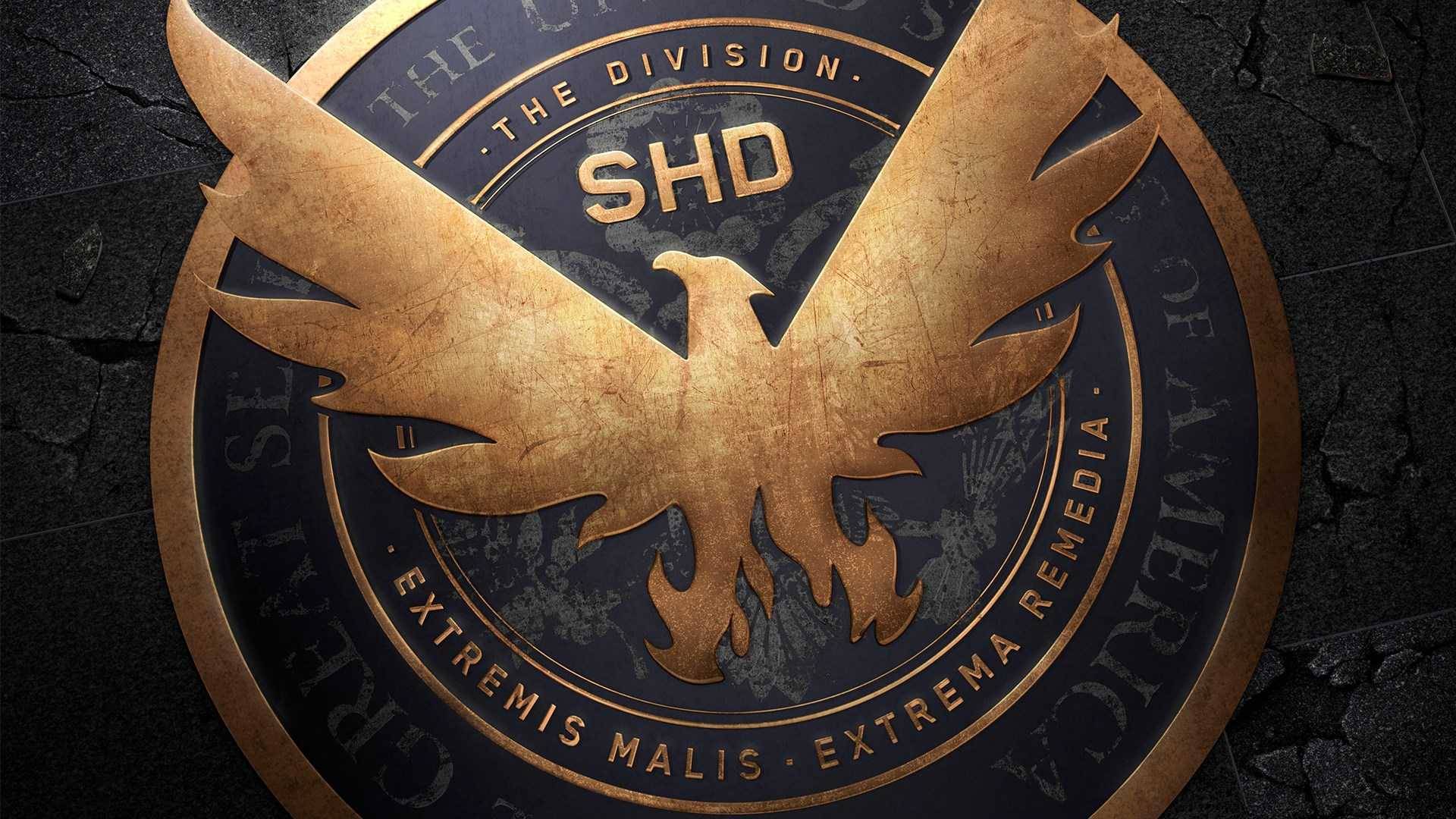 The Division 2 эффективный билд под синий экран