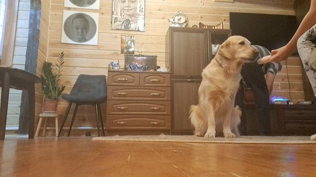 1000050935.mp4