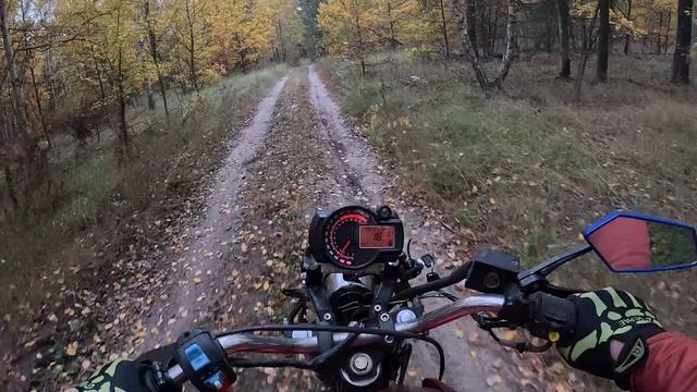 Мотоцикл Jianshe 150 прогулка по осеннему лесу