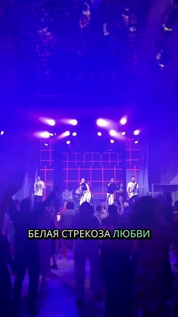 Стрекоза любви