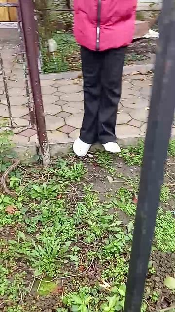 видимо о история