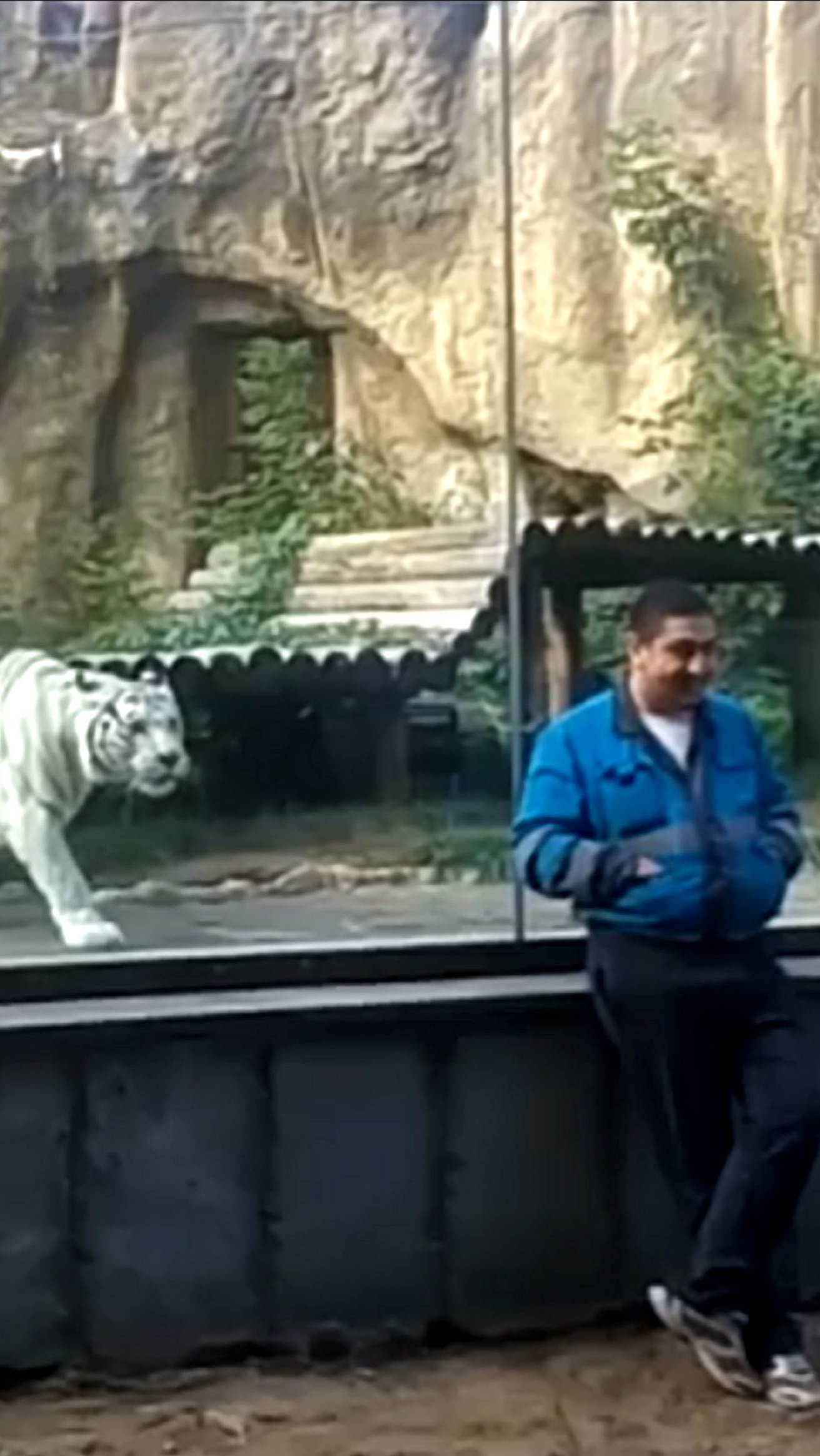 А вот и завтрак пришёл...